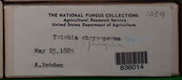 Image Associated With the Occurence